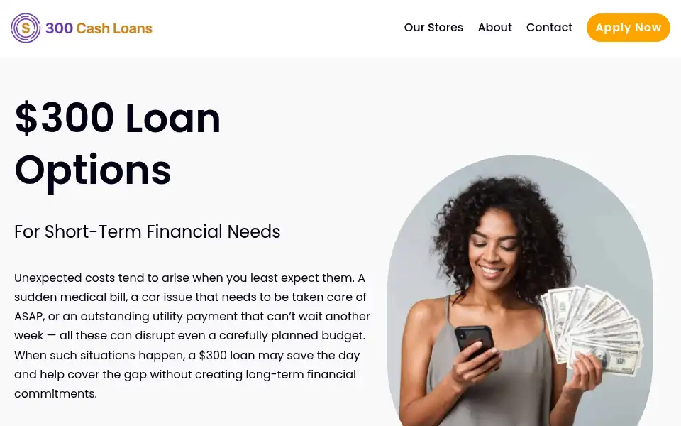 Screenshot of 300loan.com