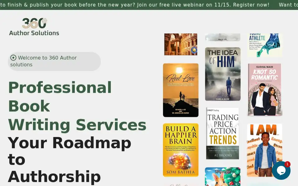Screenshot of 360authorsolutions.com