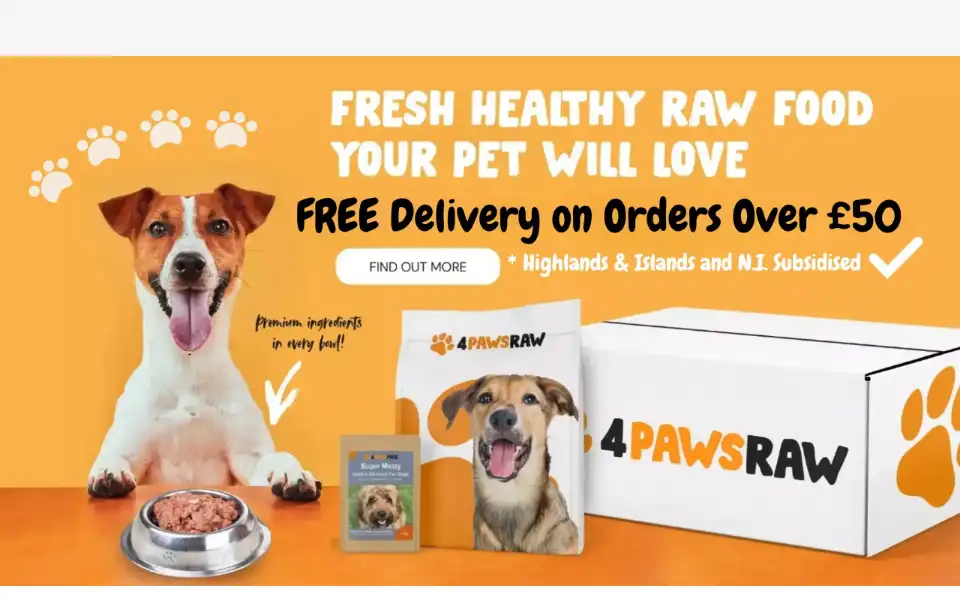 Screenshot of 4pawsraw.co.uk