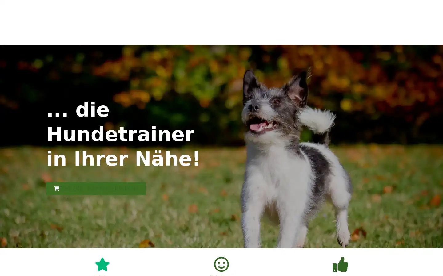 Screenshot of 4pfotencoach.de