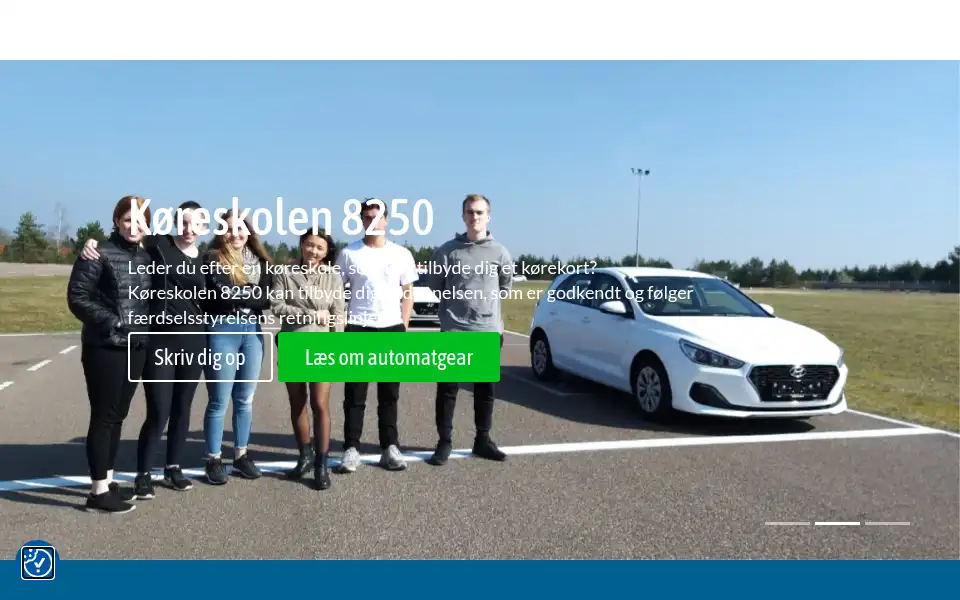Screenshot of 8250.dk