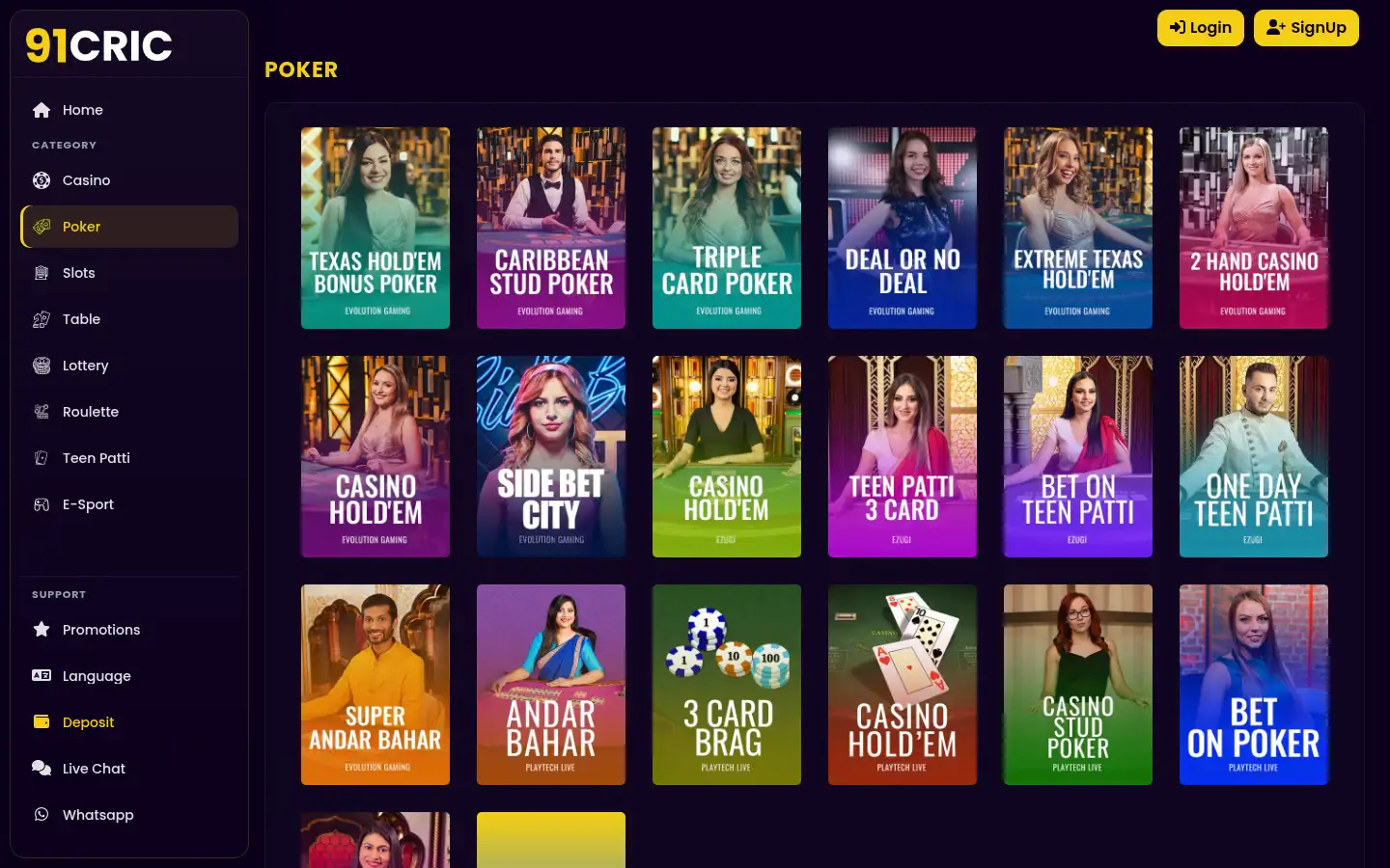 Screenshot of 91cric.com
