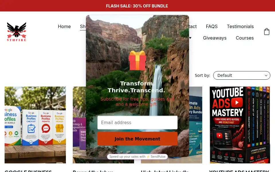 Screenshot of 9thfire.com