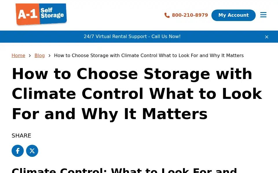 Screenshot of a1storage.com
