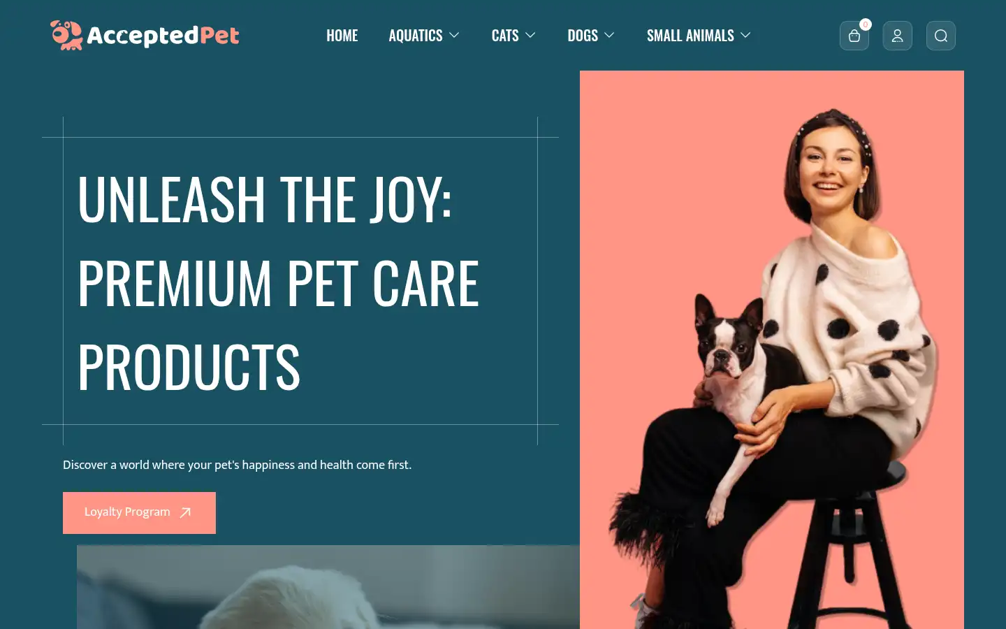Screenshot of acceptedpet.com