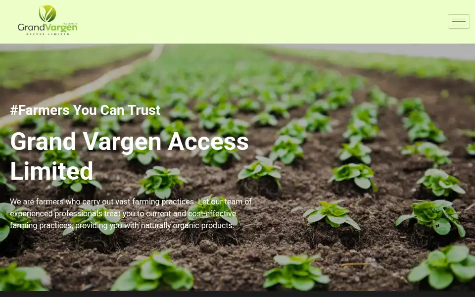 Screenshot of acces.com.ng