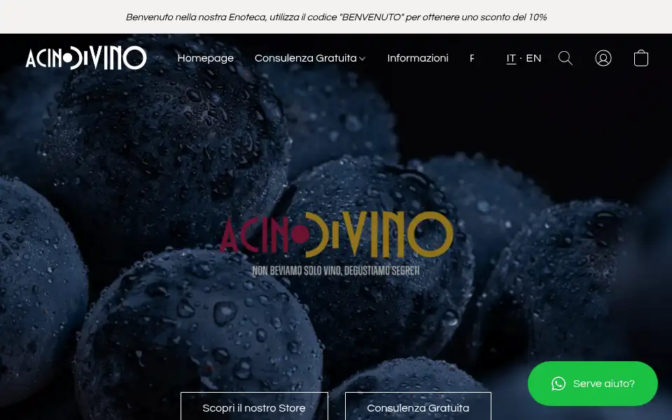 Screenshot of acinodivino.eu
