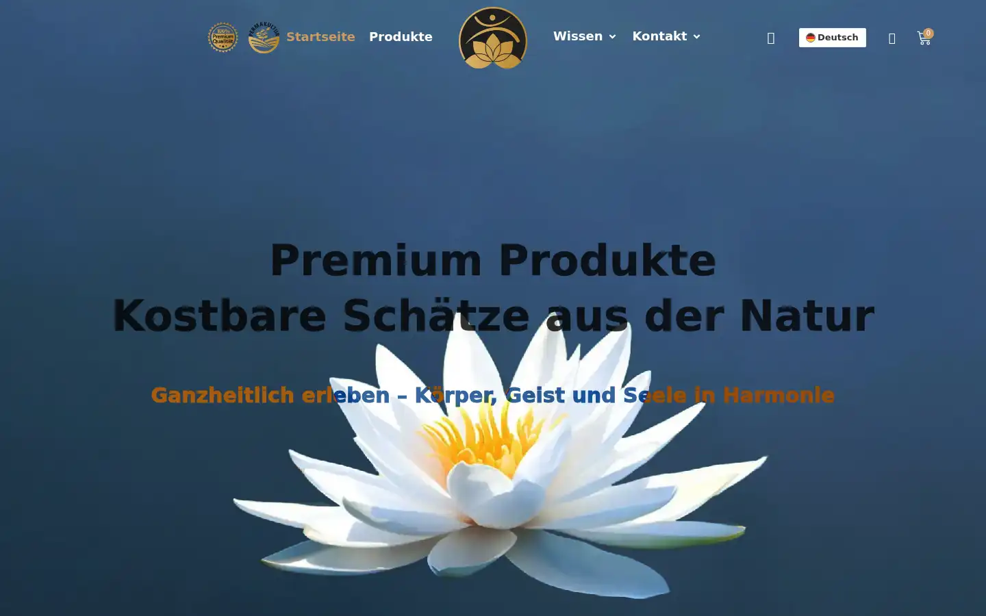 Screenshot of activemedicus.com