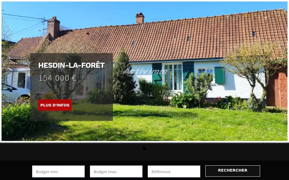 Screenshot of activimm.com