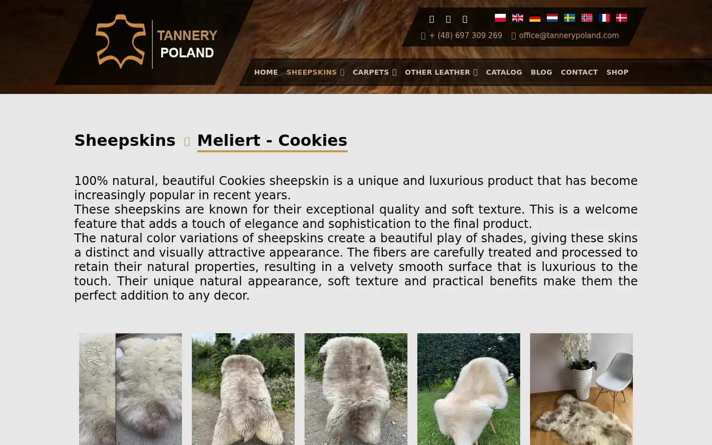 Screenshot of adam-leather.com