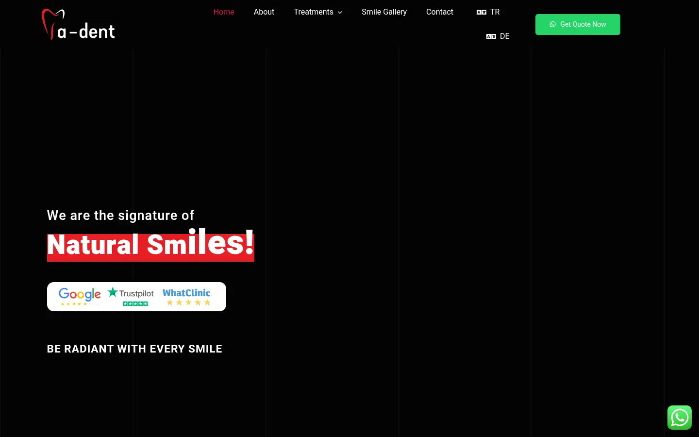 Screenshot of adentturkey.com
