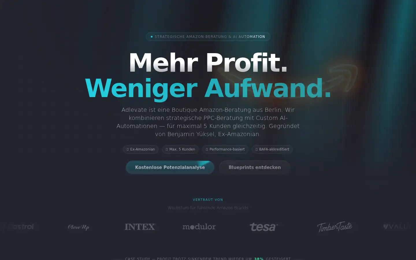 Screenshot of adlevate.de