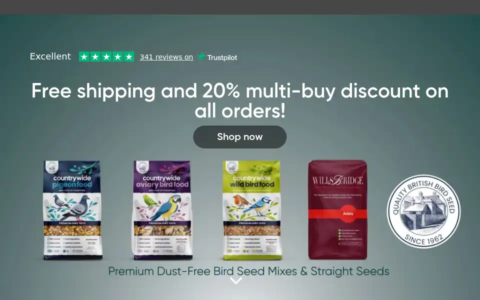 Screenshot of aejames.com