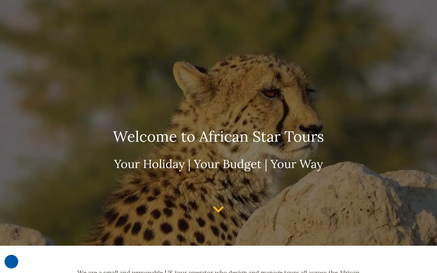 Screenshot of africanstartours.com