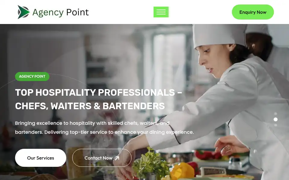 Screenshot of agencypoint.co.uk
