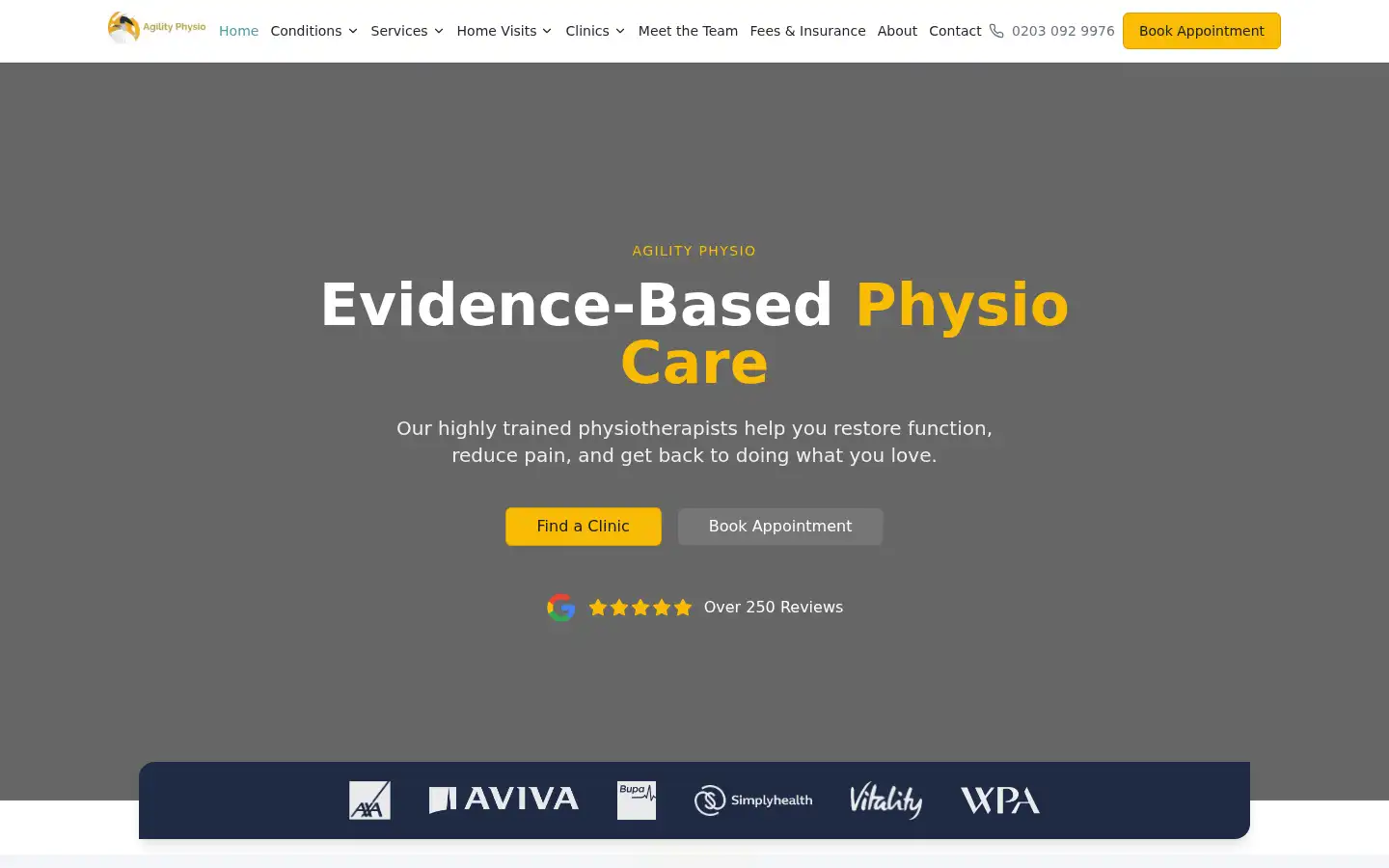 Screenshot of agilityphysio.net
