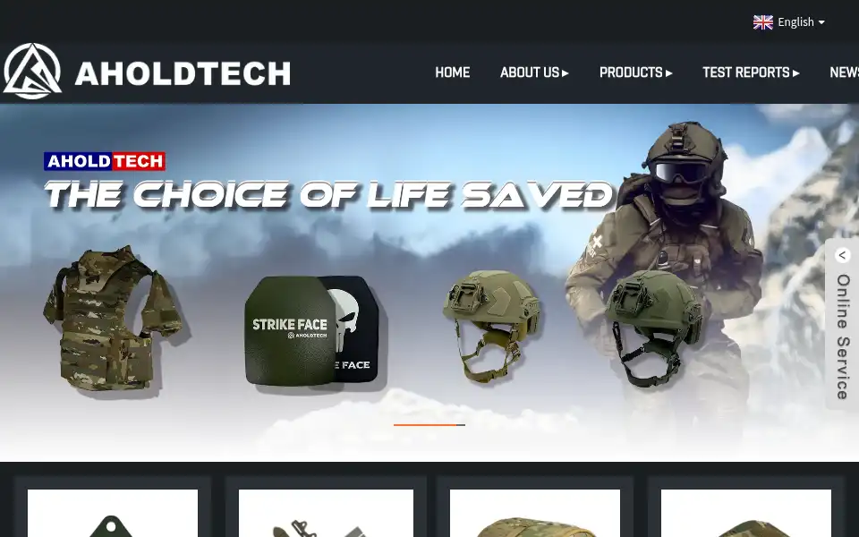 Screenshot of aholdtech.com