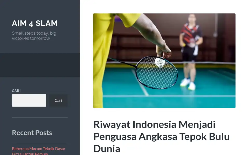Screenshot of aim4slam.com