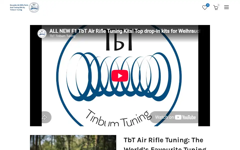Screenshot of airrifletuning.com