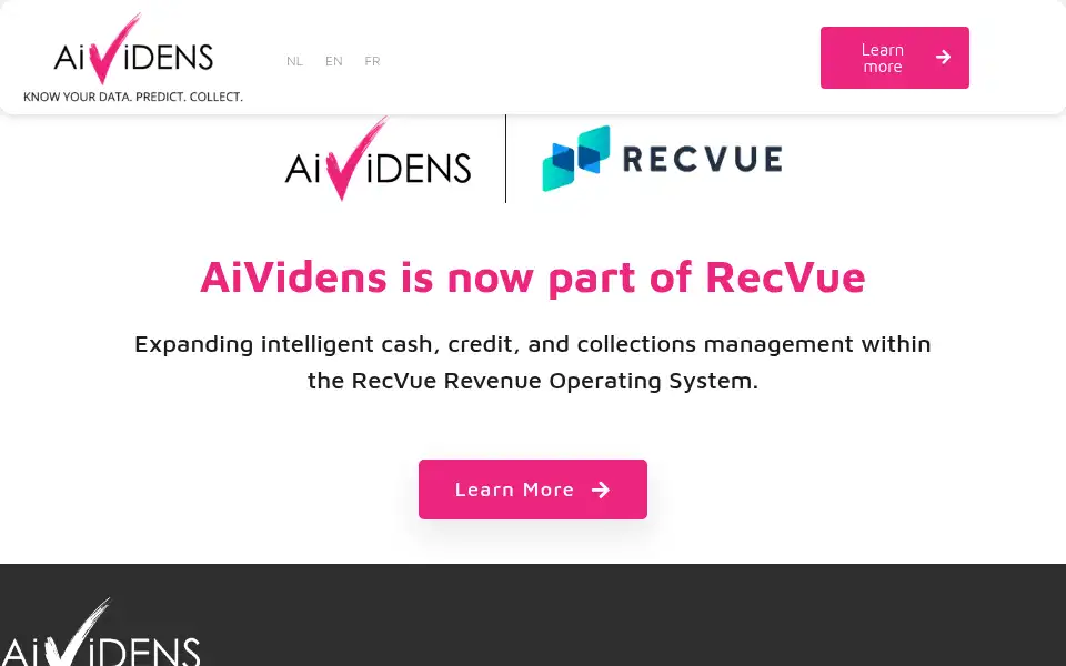 Screenshot of aividens.com