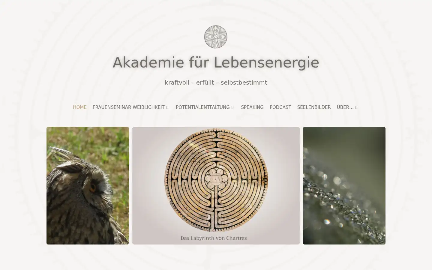 Screenshot of akademie-lebensenergie.de
