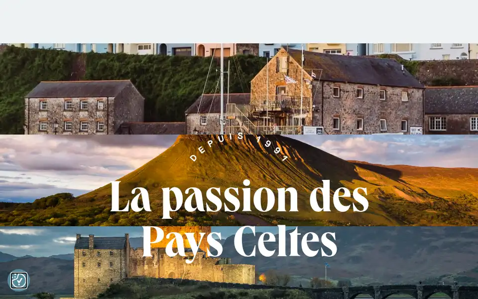 Screenshot of alainntours.com