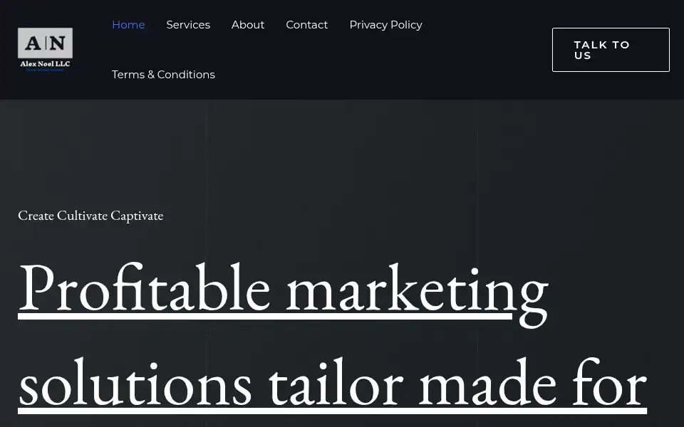 Screenshot of alexnoel.org