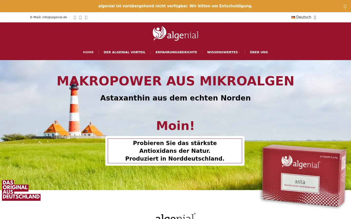 Screenshot of algenial.de