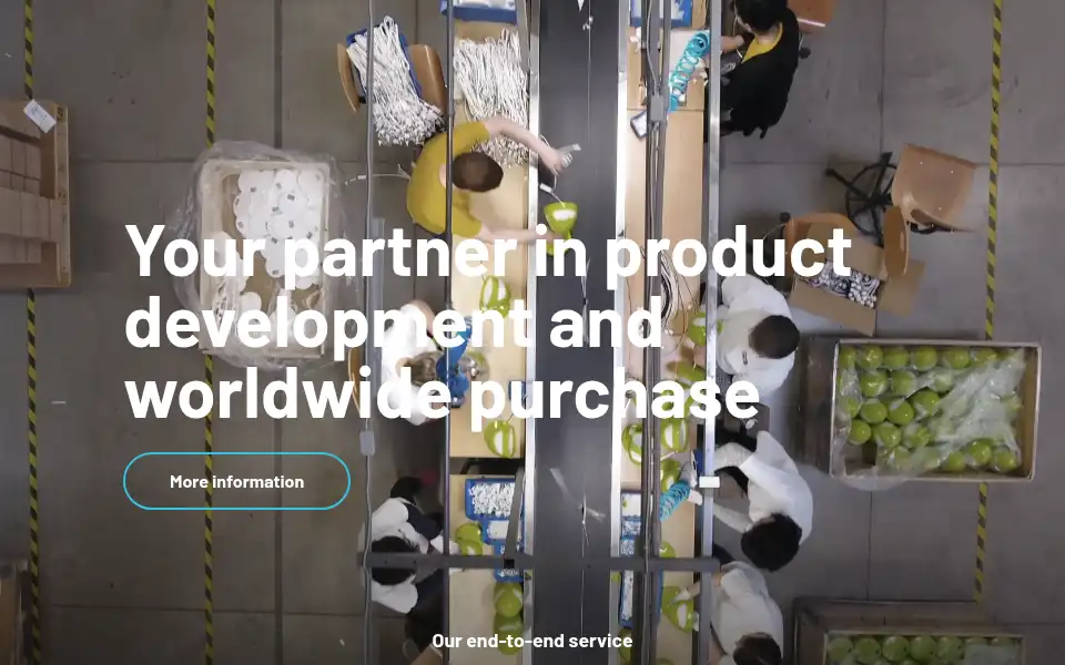 Screenshot of alibaba.nl