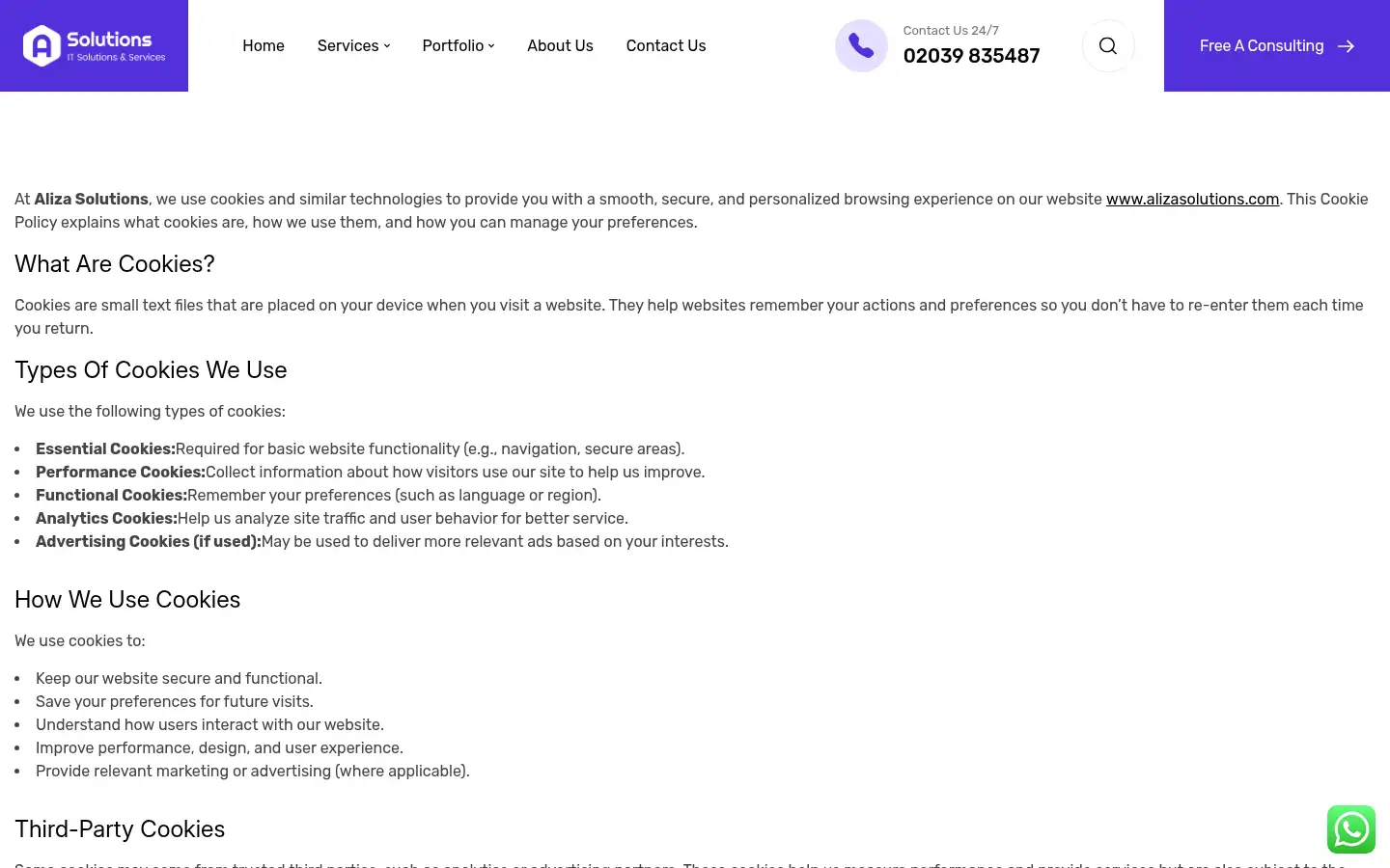 Screenshot of alizasolutions.com