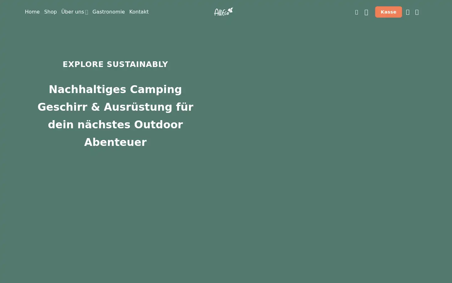 Screenshot of all-eco.eu