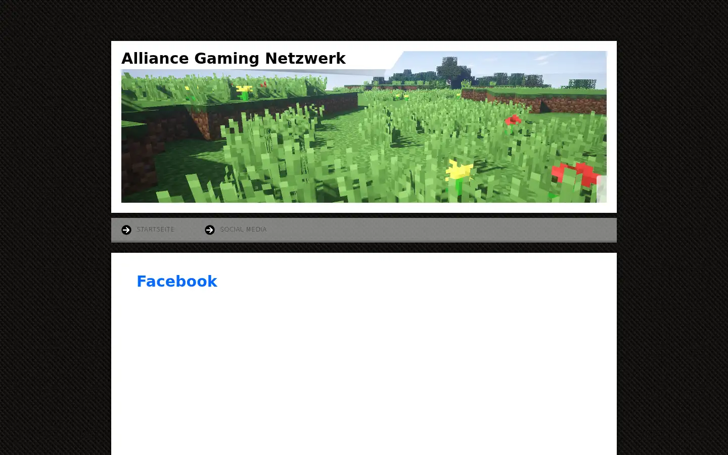 Screenshot of alliancenetzwerk.de.tl