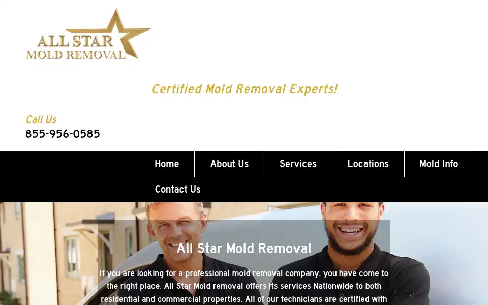 Screenshot of allstarmoldremoval.com
