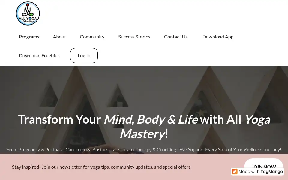 Screenshot of allyogamastery.com