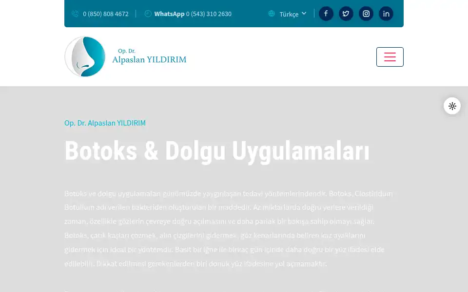 Screenshot of alpaslanyildirim.com.tr