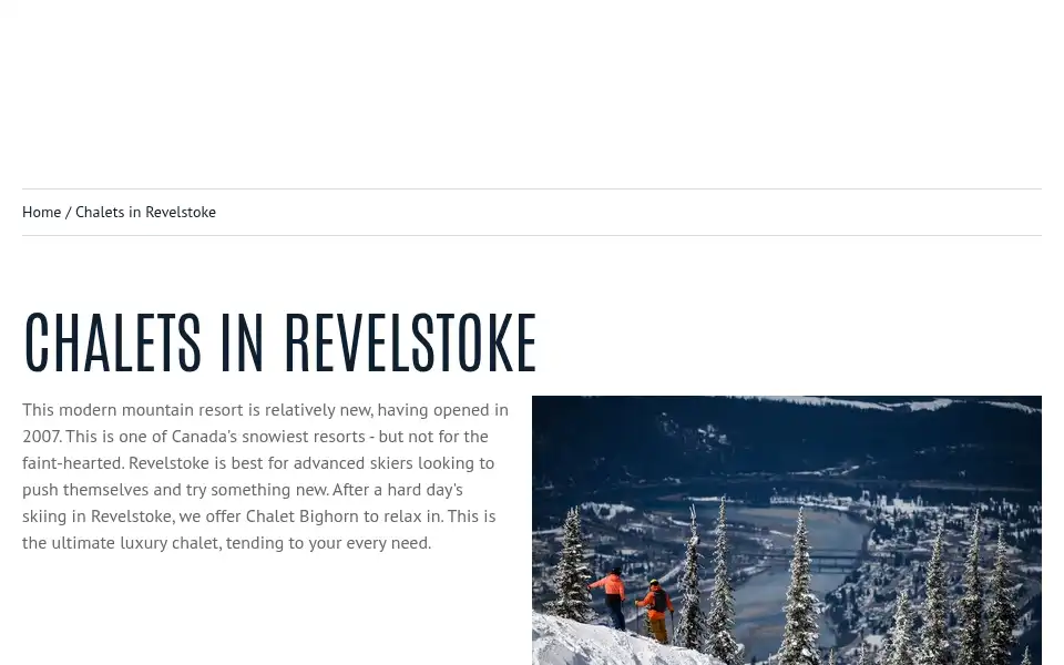 Screenshot of alpineanswers.co.uk