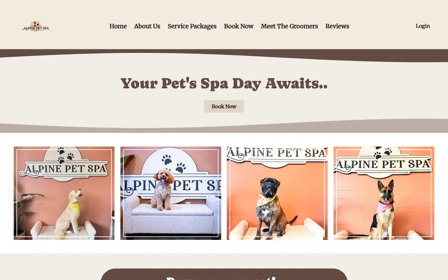 Screenshot of alpinepetspa.com