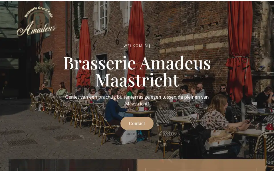 Screenshot of amadeusmaastricht.nl