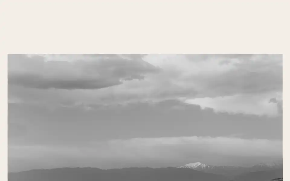 Screenshot of aman.com