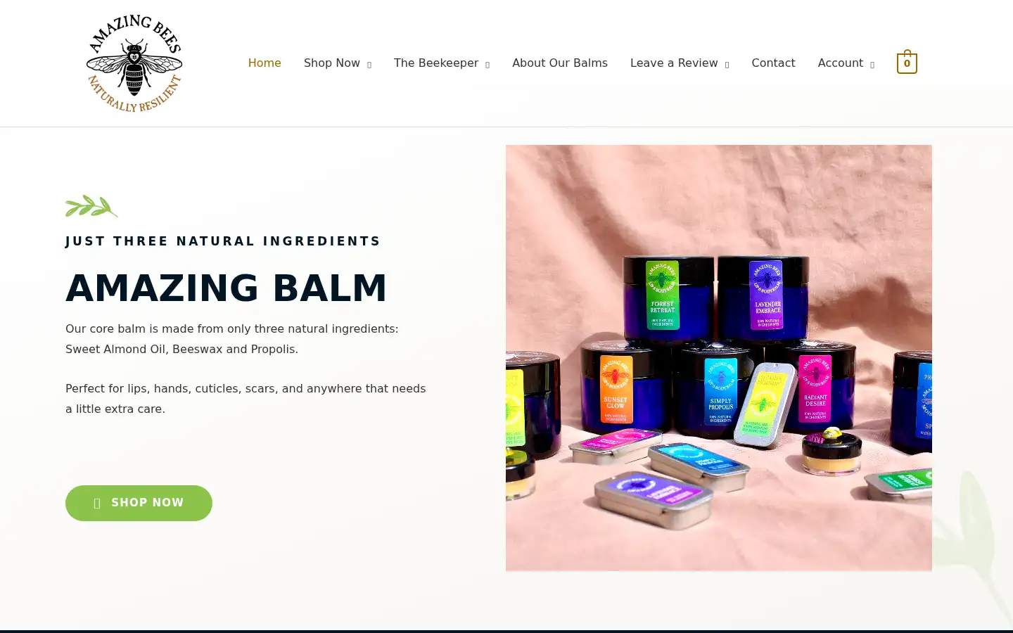 Screenshot of amazingbees.co.uk