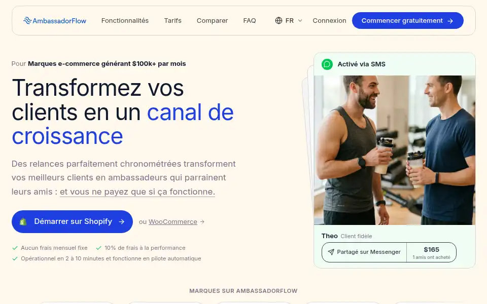 Screenshot of ambassadorflow.com
