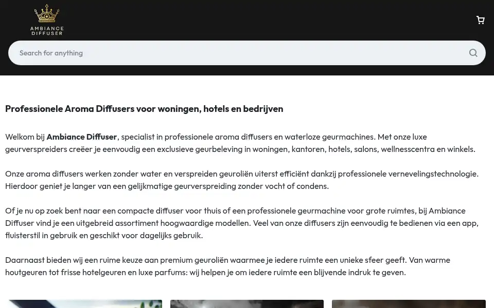 Screenshot of ambiancediffuser.nl