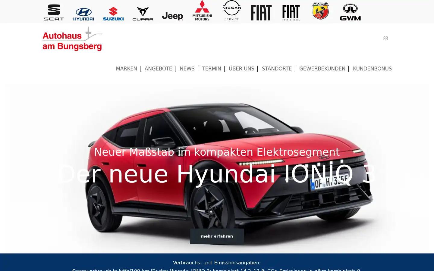 Screenshot of ambungsberg.de