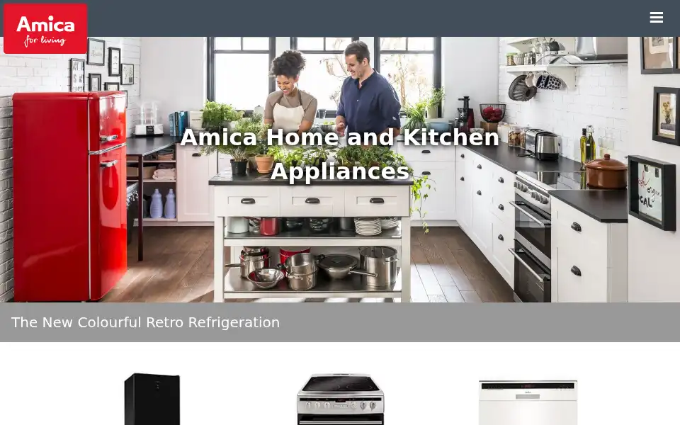 Screenshot of amica-international.co.uk