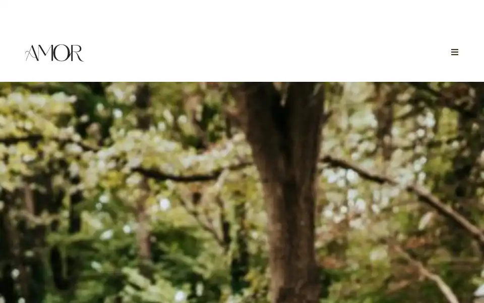 Screenshot of amorbruiloften.nl
