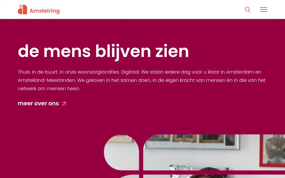 Screenshot of amstelring.nl