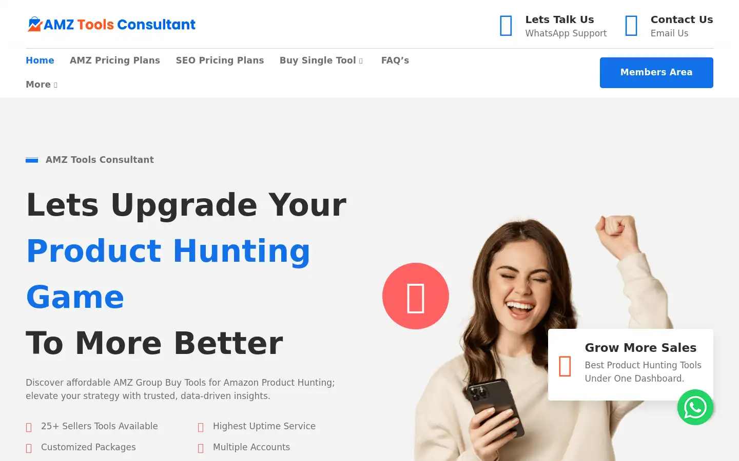 Screenshot of amztoolsconsultant.com