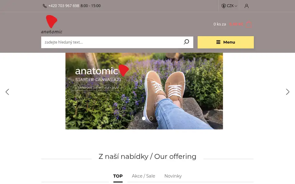 Screenshot of anatomic4all.eu