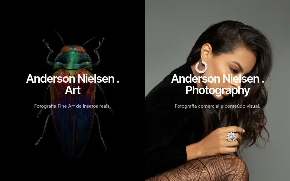 Screenshot of andersonnielsen.com