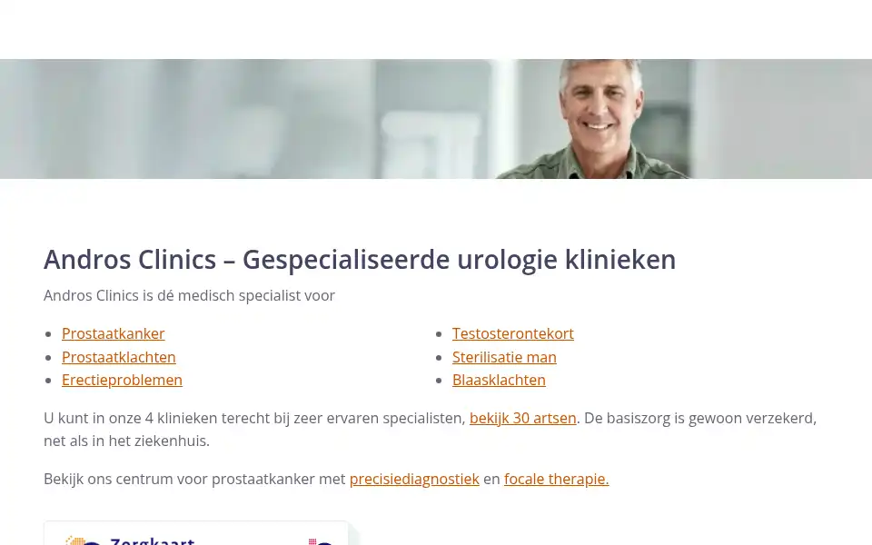 Screenshot of andros.nl